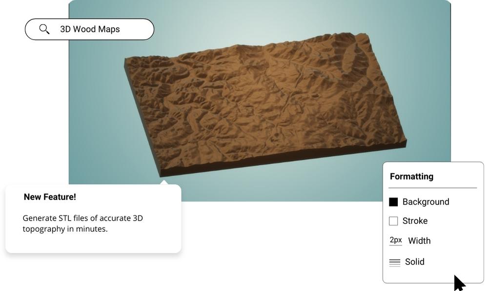 Custom 3D Wood Map