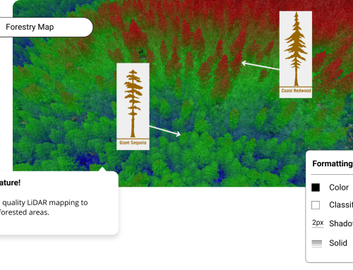 High-Resolution Forest Mapping