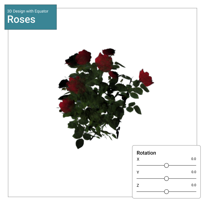 Equator Roses 3D Model